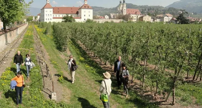 Bressanone: per il Giardino Vescovile cinque anni di affitti “a vuoto”