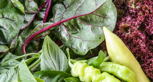 A Bolzano dal 10 al 13 novembre c’è Biolife, la fiera del Biologico