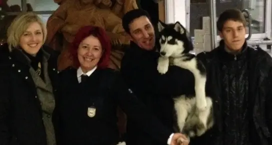 I vigili urbani salvano un Husky fuggito da casa