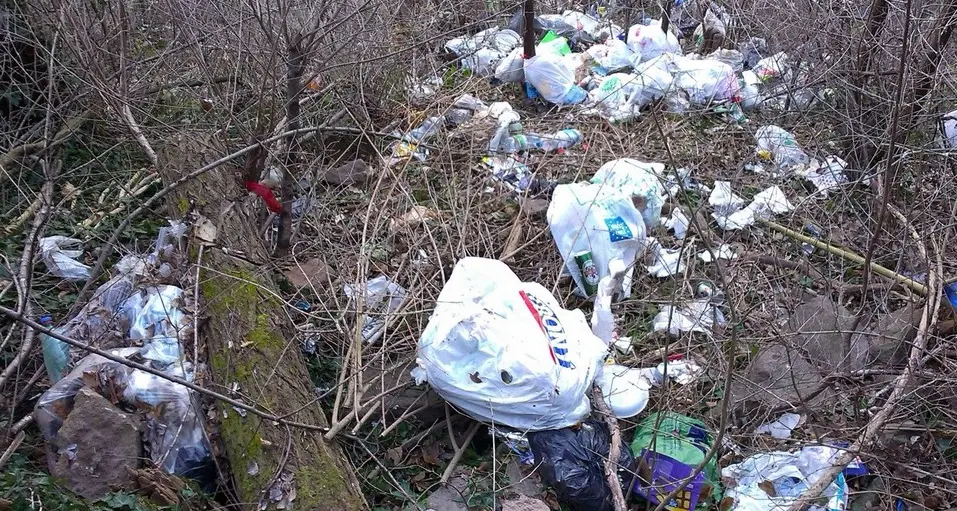 Discarica abusiva ai piedi del Virgolo