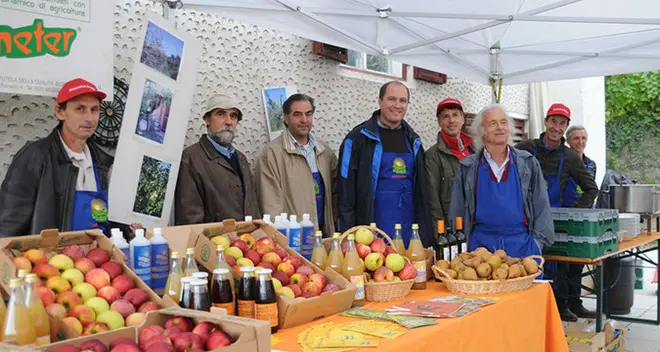 Salto nel passato a Tesimo, il grano si semina a mano secondo la tradizione antica