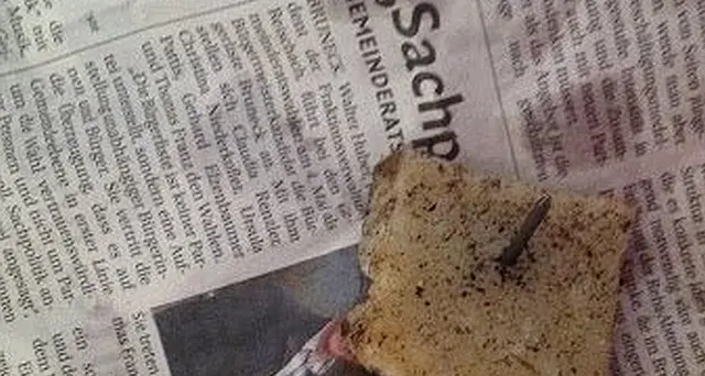 Uomini che odiano gli animali: esche di pane con chiodi e spilli a Merano