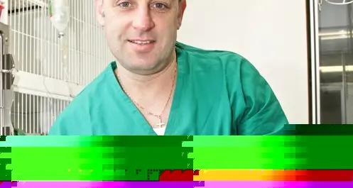 Brigadoi, veterinario con la passione per l’arte dei figurini