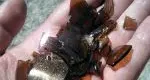 Bolzano, cocci di vetro nascostinella sabbia del parco giochi bimbi