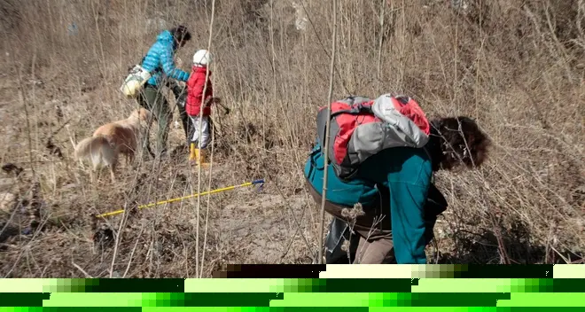 Talvera ridotto a una discarica, volontari Wwf per ripulire le sponde