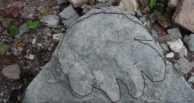 Trovata in Gardena l’impronta di un rettile di 250 milioni anni fa