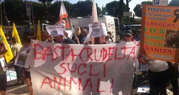 Daniza, protesta a Roma sotto il ministero