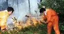 Siccità: aumenta il pericolo di incendi in Alto Adige, decalogo della Forestale