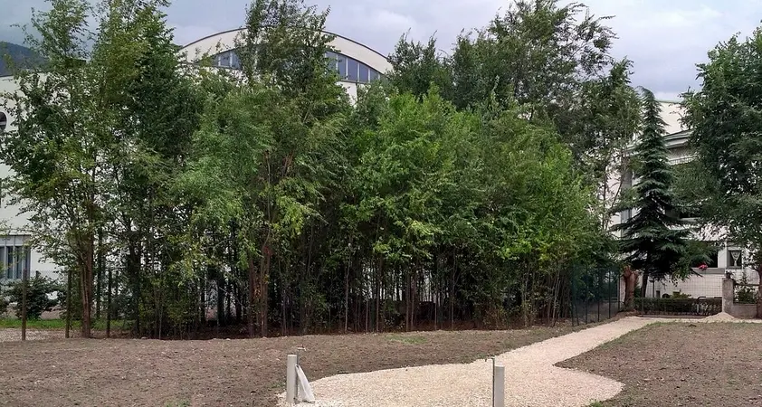 Verde e orti per Don Bosco Già pronto il nuovo parco