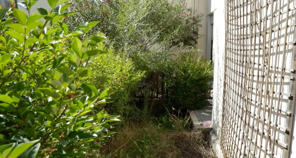 Case inglesi di via Genova ora l’Ipes corre ai ripari