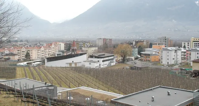 Sinigo, cantine allagate: torna l’incubo della palude
