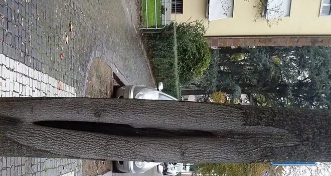 Niente palestre ai bimbi rimasti in città