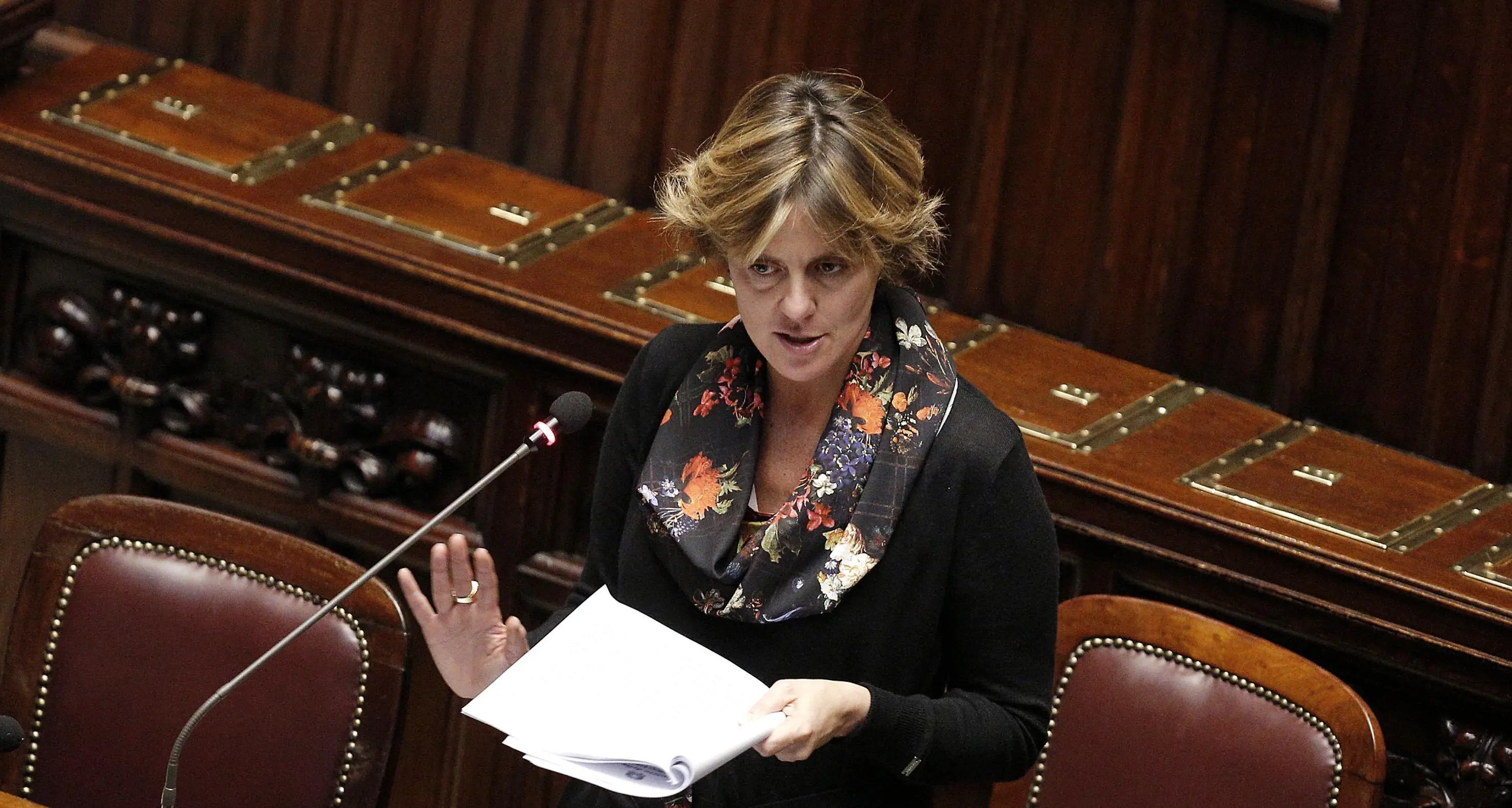 Punti nascita, il ministro Lorenzin: \"Gli standard di qualità e sicurezza vanno sempre garantiti\".