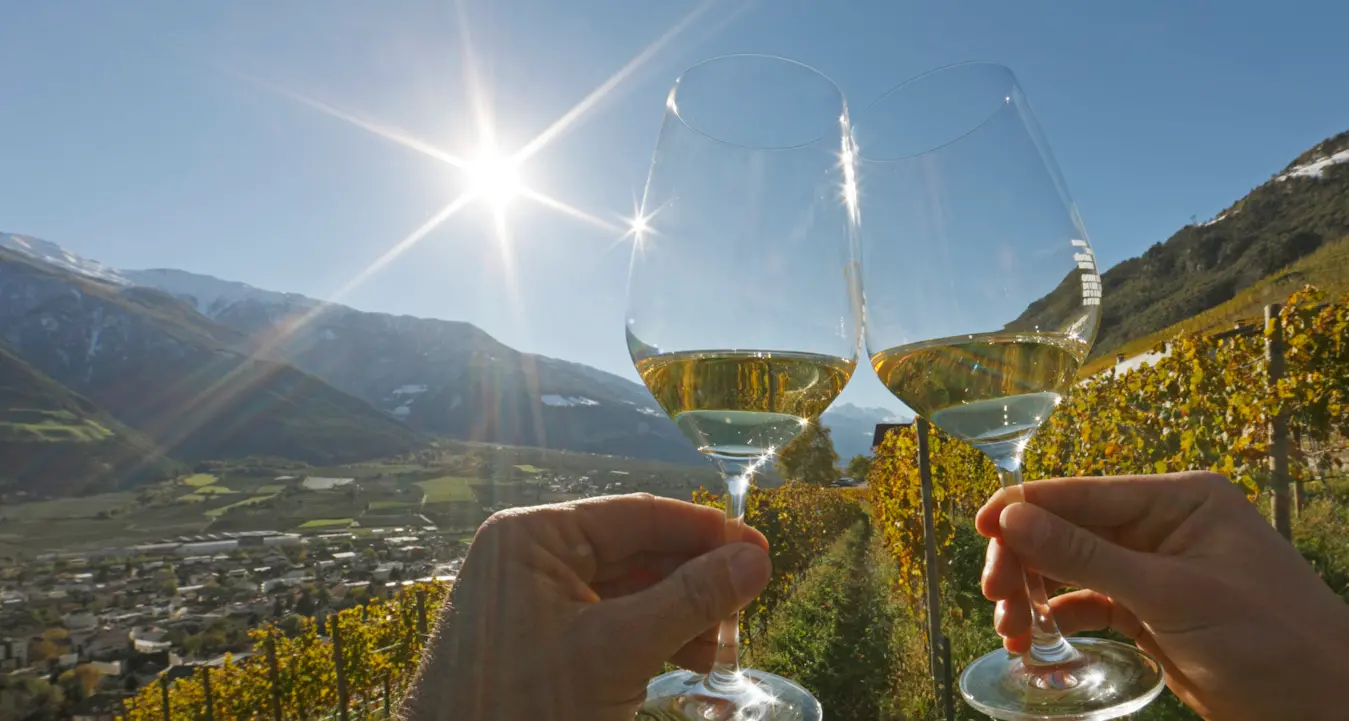 Naturno, il Riesling è il protagonista dell'autunno