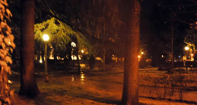 Tentato stupro nel parco: condanna a cinque anni