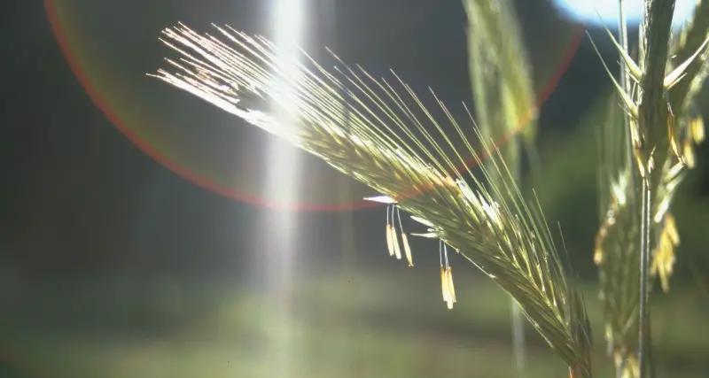 Un'estate dedicata all'ambiente: a Naturno e Trodena riaprono i centri visite dei parchi naturali