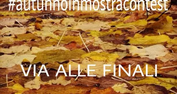 Via alle sfide finali per scegliere le foto che saranno esposte in Fiera
