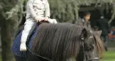 Superato anche l’ultimo ostacolo l’ippodromo «vede» il traguardo