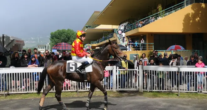 Merano, giornata di festa per la prima stagionale all’ippodromo di Maia