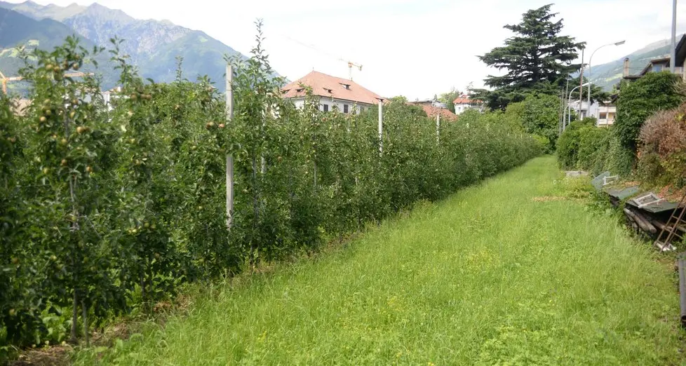 Nasce la città dello studio che accoglierà 1700 allievi