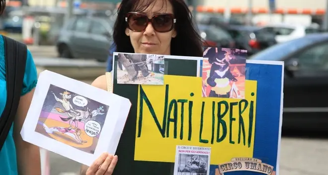 Sit-in della Lav davanti al circo Orfei: no agli spettacoli con gli animali