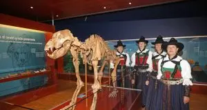 A San Cassiano il museo dedicato all'orso preistorico della Ladinia