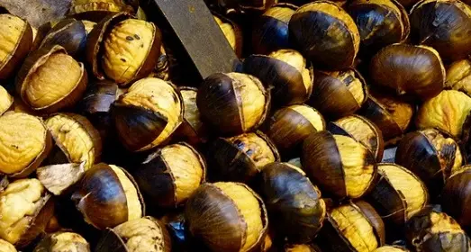 Pochi, un gruppo di lavoro per rilanciare la castagna