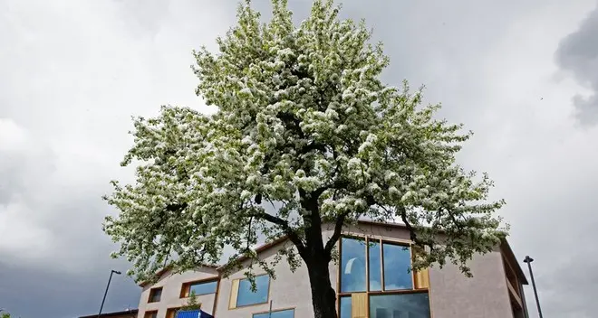 Il cielo a portata di mano con il “Planetarium Alto Adige”