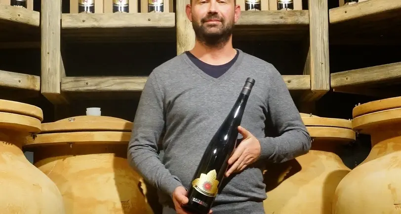 I vignaioli: «Il 2015 annata straordinaria per bianchi e rossi»