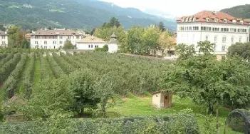 Bressanone: Giardini, gli Ecosociali frenano