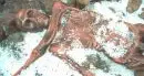 Paleontologia: nuova ipotesi su Ötzi, ucciso da predoni