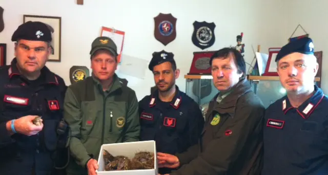 Terlano, ancora denunce per uccellagione: in tre fermati dai carabinieri