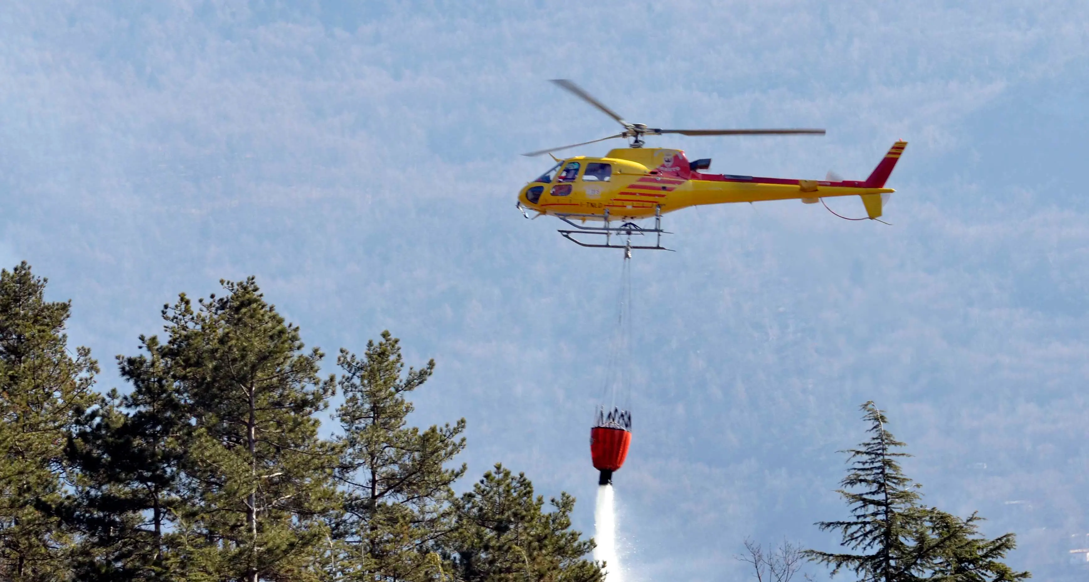 Fuochi d'artificio: è allarme incendi a causa della estrema siccità
