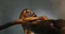 Paleontologia: congresso internazionale su Ötzi a Bolzano