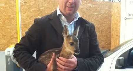 L’appello: cuccioli selvatici, non toccarli nè portarli a casa