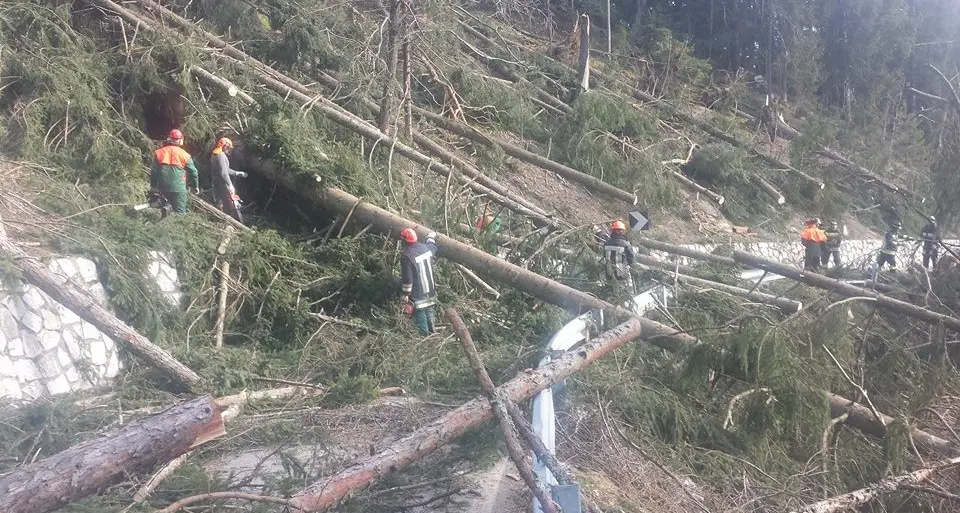 Forti raffiche di vento, decine di interventi dei pompieri