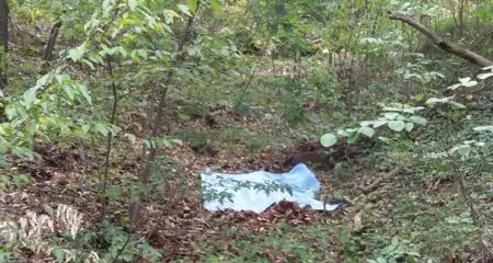 Bolzano, trovato un cadavere nel bosco in via Castel Flavon