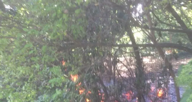Bolzano, due incendi in un'ora sui prati del Talvera e in una cantina di vicolo Muri