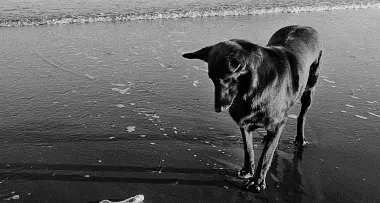 Al Trevi di Bolzano il Mese della fotografia ospita Marrozzini