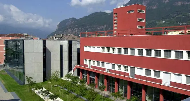 Elevati valori di ferro possono ridurre il rischio di Parkinson