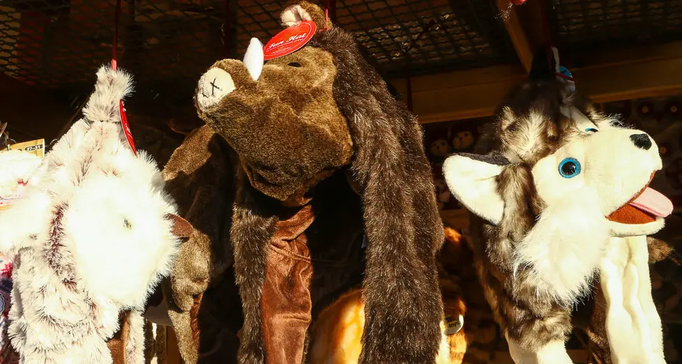 Mercatino di Bolzano : vanno a ruba aromi, tessuti e cappelli