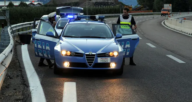 Maiale «a spasso» sulla Mebo, allarme rientrato in pochi minuti