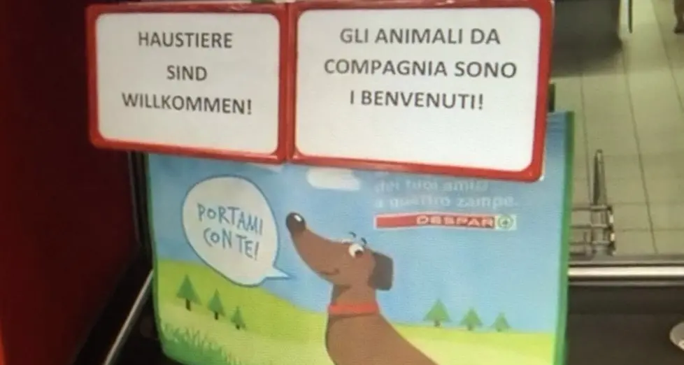 Aspiag di Bolzano, sacchetti in via Museo per fare la spesa con «Fido»