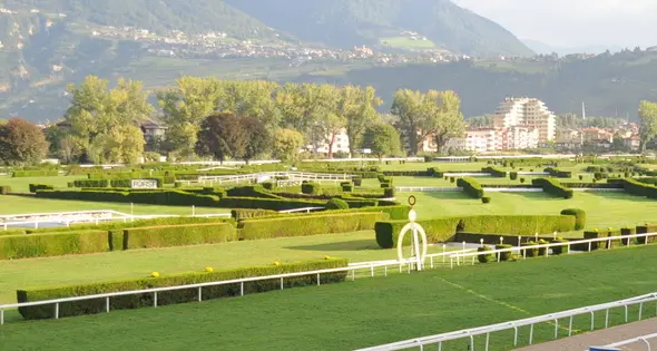 Nuovi tagli dal ministero e l’ippodromo si blocca