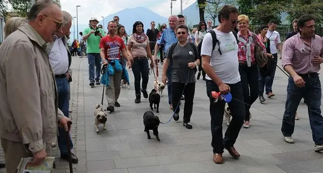La lussuosa vita da cani dei Carlini, serviti dai camerieri