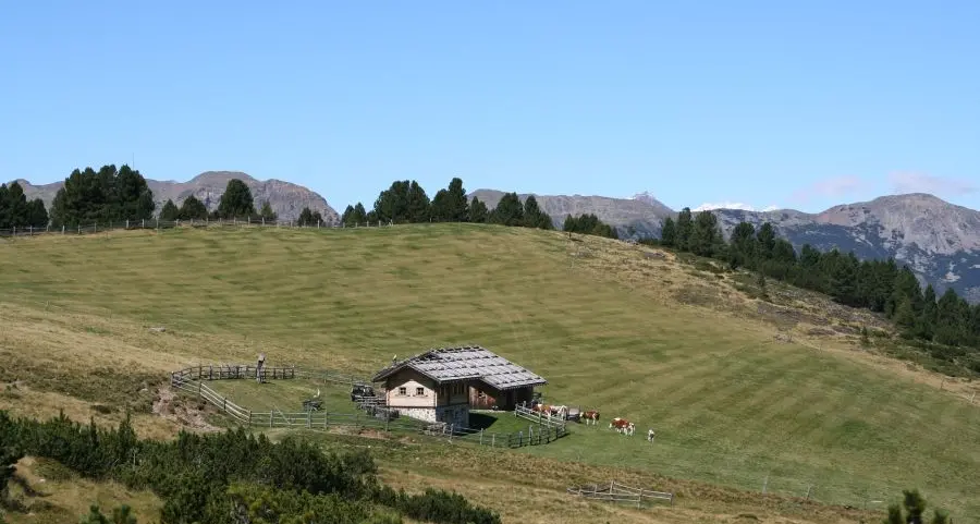Villandro, scomparso un 35enne di Laives