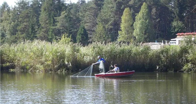 Caldaro, reti nel lago: sconsigliati i bagni