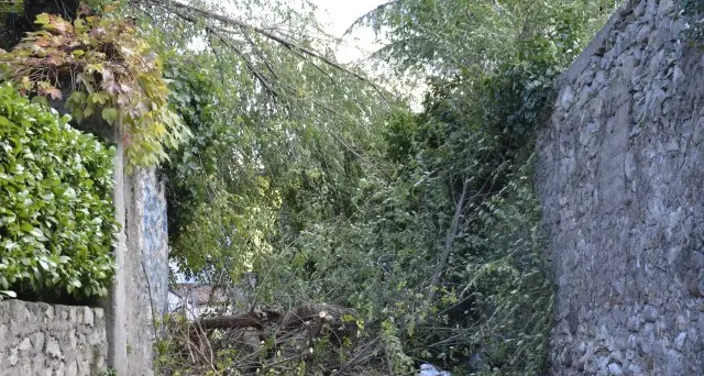 Raffiche di vento a Merano, un ferito