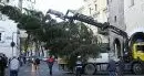Arriva da Bressanone l'albero di Natale per piazza San Pietro