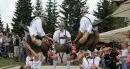 Turismo: 2010 anno record per l'Alto Adige